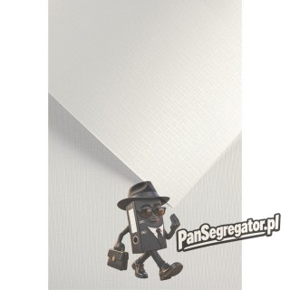 Karton ozdobny Sukno biały 230g. (20szt.) 204211 Galeria Papieru