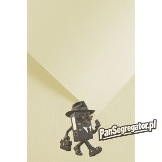 Karton ozdobny Sukno kremowy 230g. (20szt.) 204212 Galeria Papieru