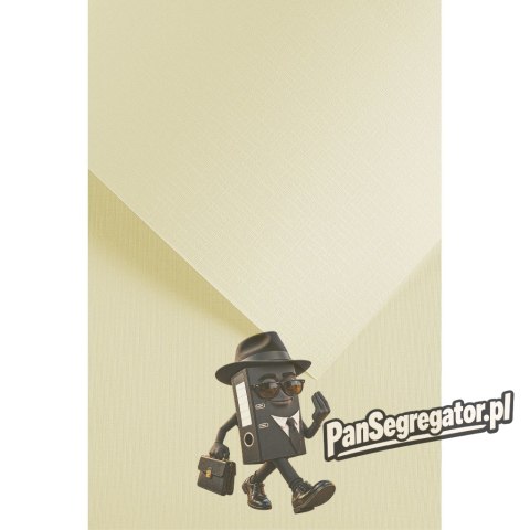 Karton ozdobny Sukno kremowy 230g. (20szt.) 204212 Galeria Papieru