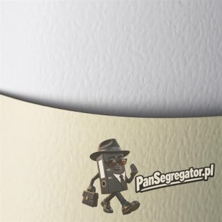 Karton wiz.A4 KAMIEŃ biały 230g (20) 201301 Galeria Papieru