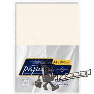Karton wizytówkowy A4 246g DZ110-C (25) MICHALCZYK I PROKOP