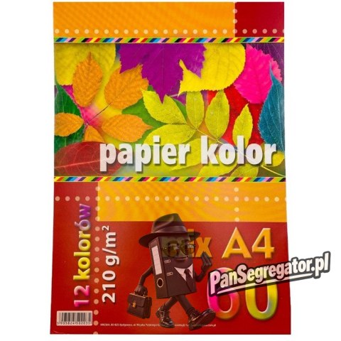 Papier A4 kolorowy mix 12 kol. 210g (60ark) KRESKA