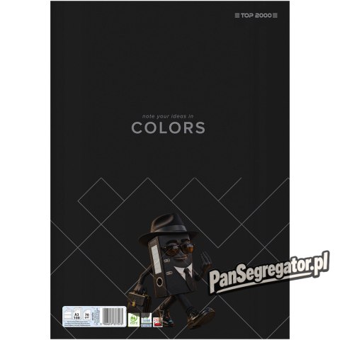 Papier kancelaryjny COLORS A3 100K linia 400169247 TOP 2000