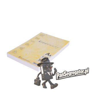Papier kredowy A4 300g (100) KRESKA
