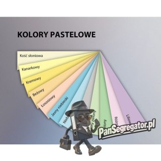 Papier ksero A4 160g EMERSON kość słoniowa 250ark xem416093 CR20
