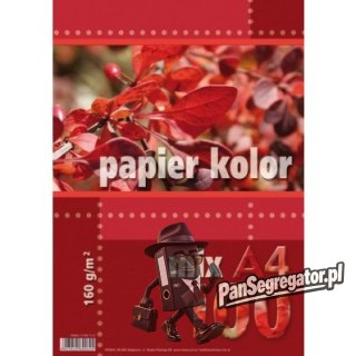 Papier ksero A4 160g KRESKA mix kolorów 100ark