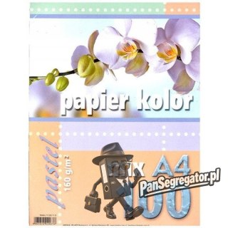 Papier ksero A4 160g KRESKA mix pastel 100ark 20676