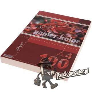 Papier ksero A4 160g KRESKA waniliowy 100ark