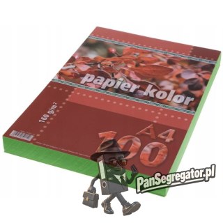 Papier ksero A4 160g KRESKA zielony 100ark