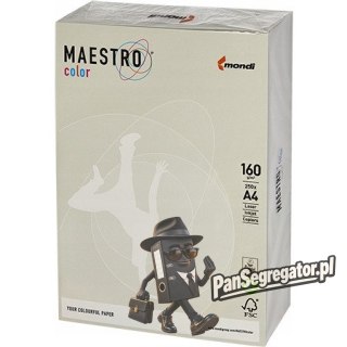 Papier ksero A4 160g MAESTRO COLOR GR21 szary 250a