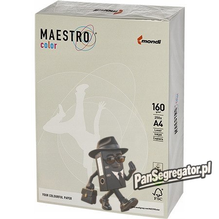 Papier ksero A4 160g MAESTRO COLOR GR21 szary 250a