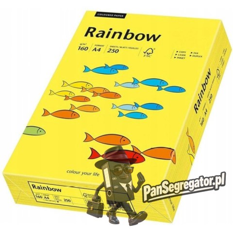 Papier ksero A4 160g RAINBOW R18 ciemnożółty 88042395