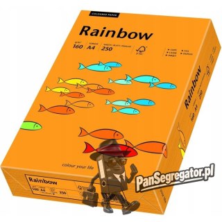 Papier ksero A4 160g RAINBOW R24 pomarańczowy 88042439