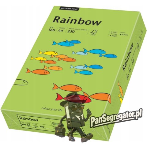 Papier ksero A4 160g RAINBOW R76 zielony 88042659