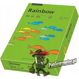 Papier ksero A4 160g RAINBOW R78 ciemny zielony 88042681