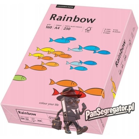 Papier ksero A4 160g.różowy R55 (250) RAINBOW 88042549