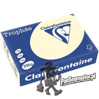 Papier ksero A4 210g 2204 piaskowy EMERSON