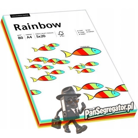 Papier ksero A4 80g RAINBOW mix intensywny 88043188