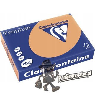 Papier ksero A4 80g TROPHEE brąz wielbłądzi XCA41879 CLAIREFONTAINE