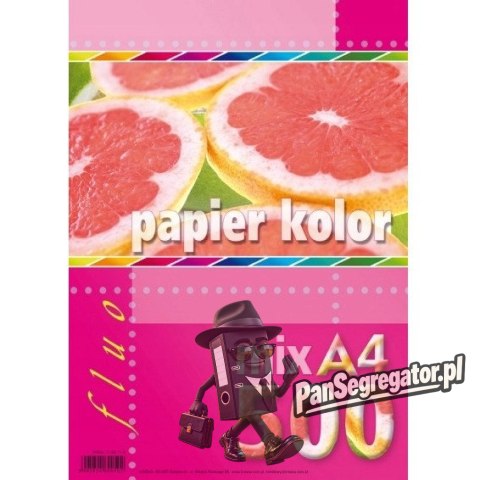 Papier ksero A4 FLUO mix 500ark 5kol KRESKA