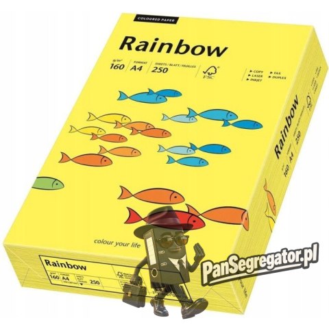 Papier ksero kolorowy A4 160g RAINBOW R14 żółty/ słoneczny 88042327