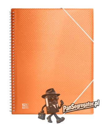 Album ofertowy A4 20mm Urban Oxford - mix kolorów 400147016