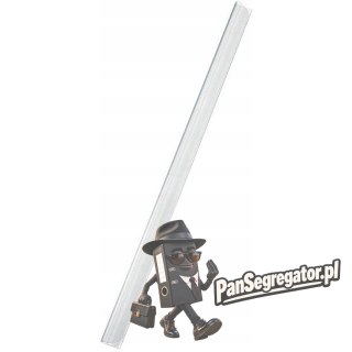 Grzbiet wsuwany A4 3mm LEITZ przezroczysty 30k (50szt) 21770