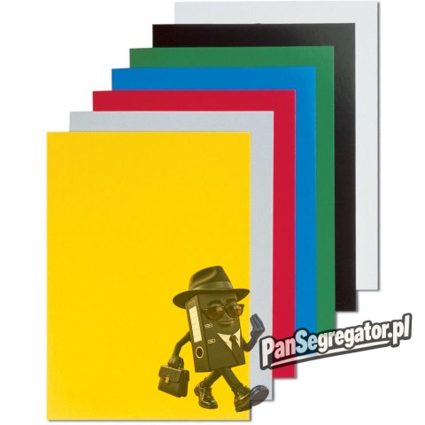 Okładki kartonowe Chromo A4 niebieskie 5378203 FELLOWES