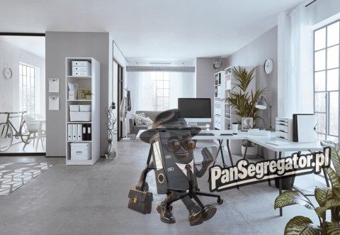 Pudło uniwersalne duże LEITZ białe 60450001