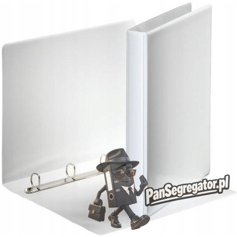 Segregator PANORAMA A4 4DR/20 38mm biały ofertowy 49701 ESSELTE