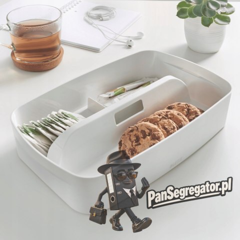 Organizer MyBOX mały z uchwytem biały LEITZ 53230001