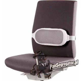 Podpórka pod plecy I-SPIRE 8042201 FELLOWES