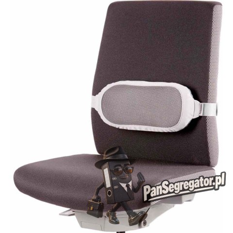 Podpórka pod plecy I-SPIRE 8042201 FELLOWES