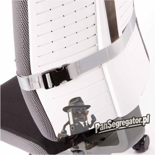 Podpórka pod plecy I-SPIRE 8042201 FELLOWES