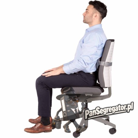 Podpórka pod plecy I-SPIRE 8042201 FELLOWES