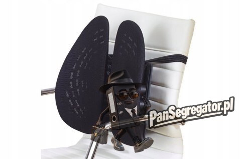 Podpórka siatkowa pod plecy z systemem KENSINGTON SmartFit K60412WW