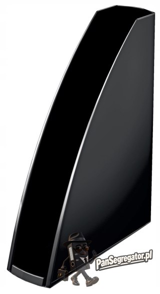 Pojemnik na dokumenty Leitz WOW, czarny 52771095