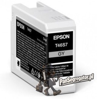 Epson UltraChrome Pro nabój z tuszem 1 szt. Oryginalny Standardowa wydajność Szary