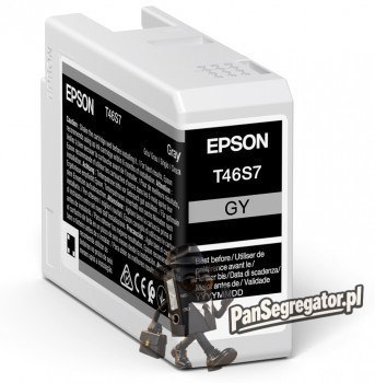 Epson UltraChrome Pro nabój z tuszem 1 szt. Oryginalny Standardowa wydajność Szary