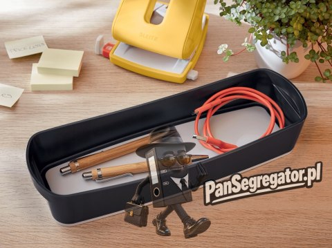 MyBox Cosy Organizer podłużny szary 52650089 LEITZ