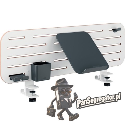 Organizer Leitz Ergo na akcesoria z uchwytem na laptopa mocowany do biurka 65490000