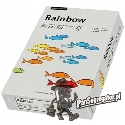 Papier ksero A4 80g RAINBOW R96 szary 88042805