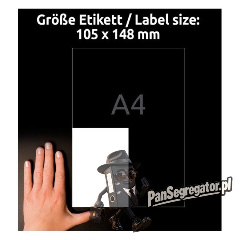 Etykiety białe 105x148mm (25 arkuszy = 100 etykiet) usuwalne L6028REV-25 AVERY ZWECKFORM