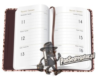 Kalendarz książkowy 2027 B6 192 Mat+UV Pattern INTERDRUK