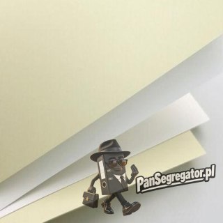Karton ozdobny A4 Gładki kremowy 160g. (50ark.) 202822 Galeria Papieru