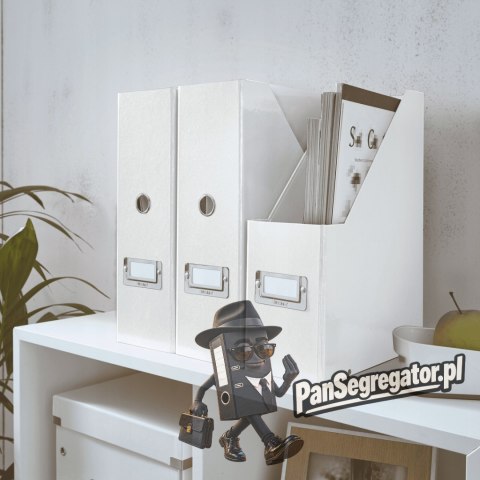 Pojemnik na czasopisma LEITZ CLICK&STORE biały 60470001