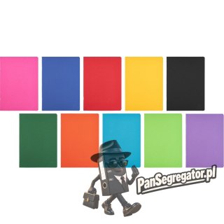 Zeszyt A5 96k linia z marginesem RAINBOW 400197909 HERLITZ