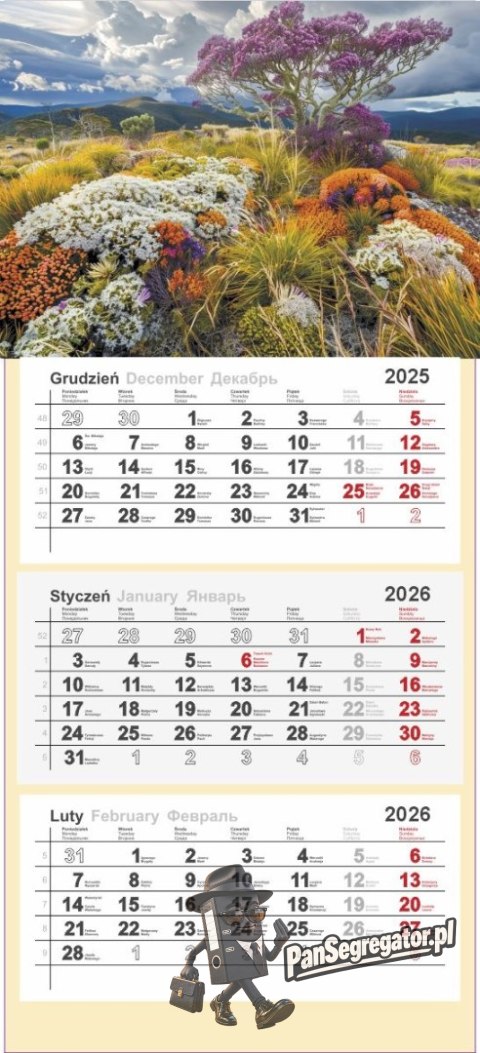 Kalendarz trójdzielny 2026 0905-99 Panta Plast