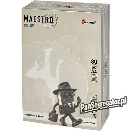 Papier ksero A4 80g MAESTRO COLOR GR21 Trendy szary