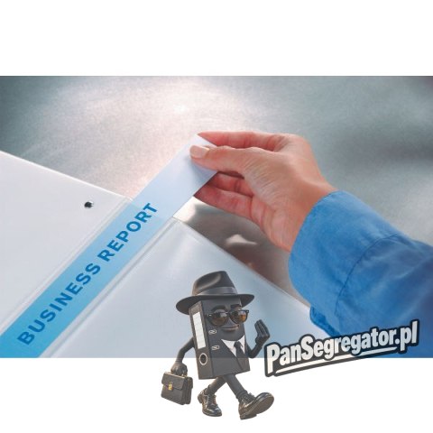 Segregator PANORAMA A4 4DR/20 38mm niebieski ESSELTE 49757